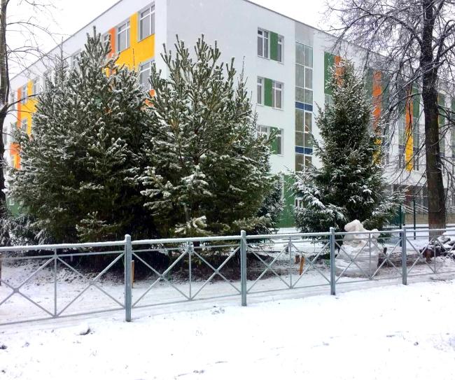 Озеленение территории школы в Перми