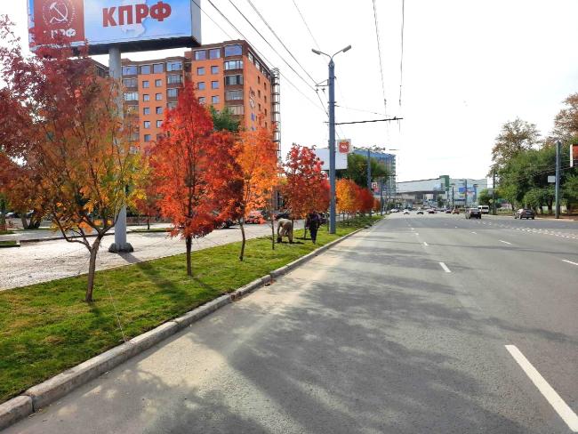 Озеленение ул. Труда в центральной части Челябинска
